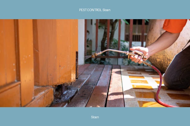 PEST CONTROL Sloan